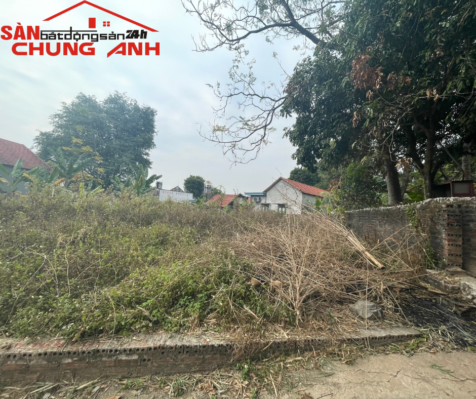 BÁN ĐẤT DỰ ÁN CỬA KHÂU-P.QUẢNG YÊN-TX.QUẢNG YÊN-QUẢNG NINH